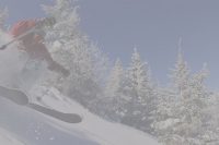 skier in trees - banner